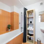 2-level With Large Balcony Praha