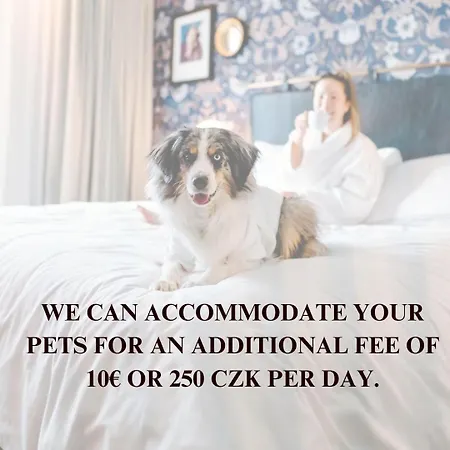 2-level With Large Balcony 公寓