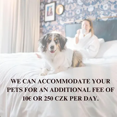 2-level With Large Balcony *